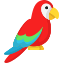 PÁJAROS