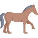 CABALLOS